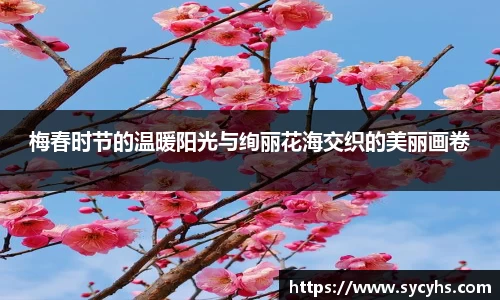 梅春时节的温暖阳光与绚丽花海交织的美丽画卷